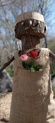 IMG_20250409_200036_694